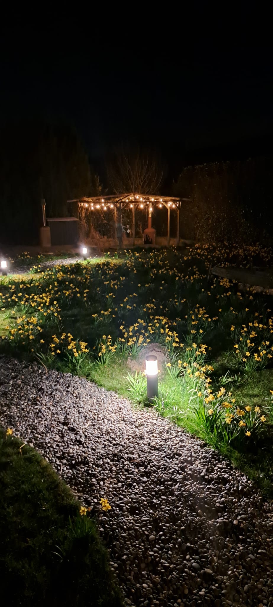 Foto 67 van Nieuwveenseweg 36-A