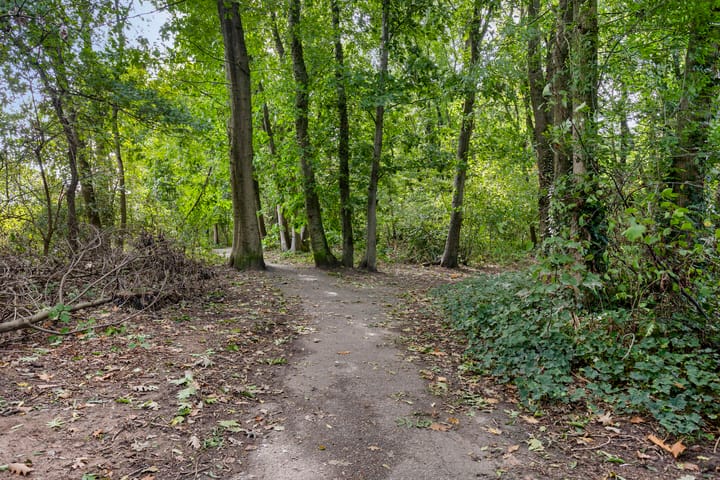 Foto 39 van Kronenland 1114