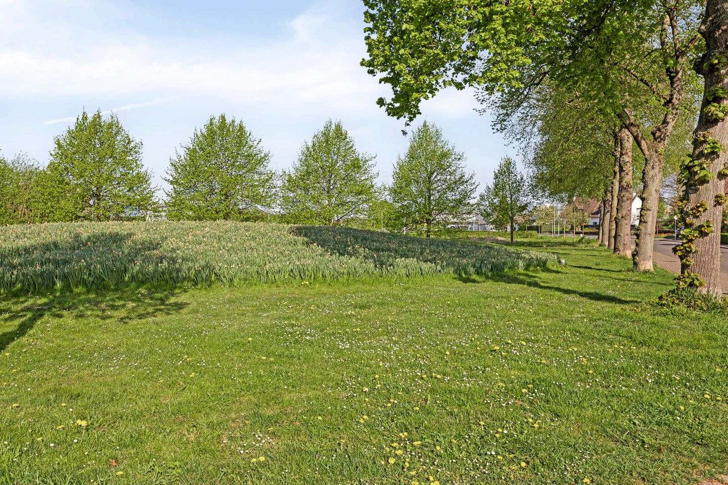 Foto 34 van Kruisstraat 28