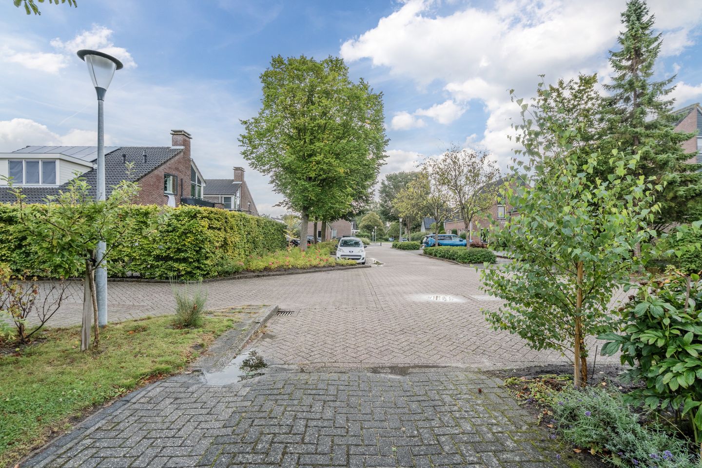 Foto 4 van De Regenboog 16