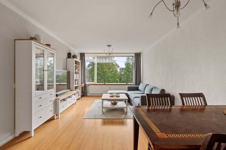 Foto 2 van Brederolaan 25