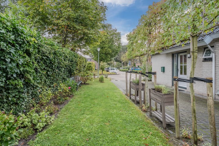 Foto 46 van De Regenboog 16