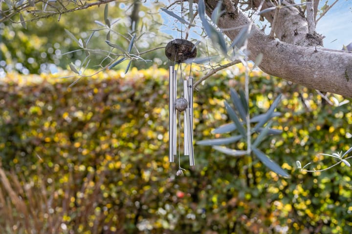 Foto 42 van De Boorne 16