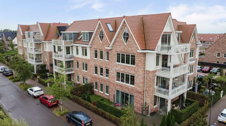 Photo 1 of Palissanderhout 100