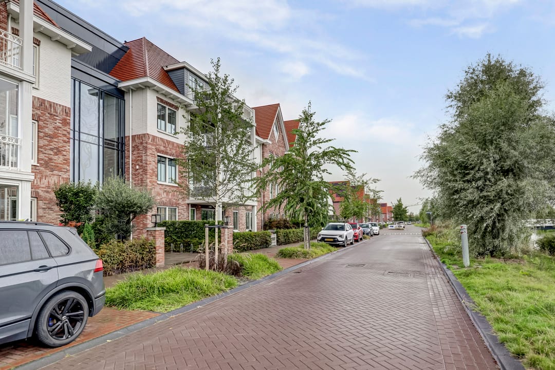 Foto 7 van Palissanderhout 100