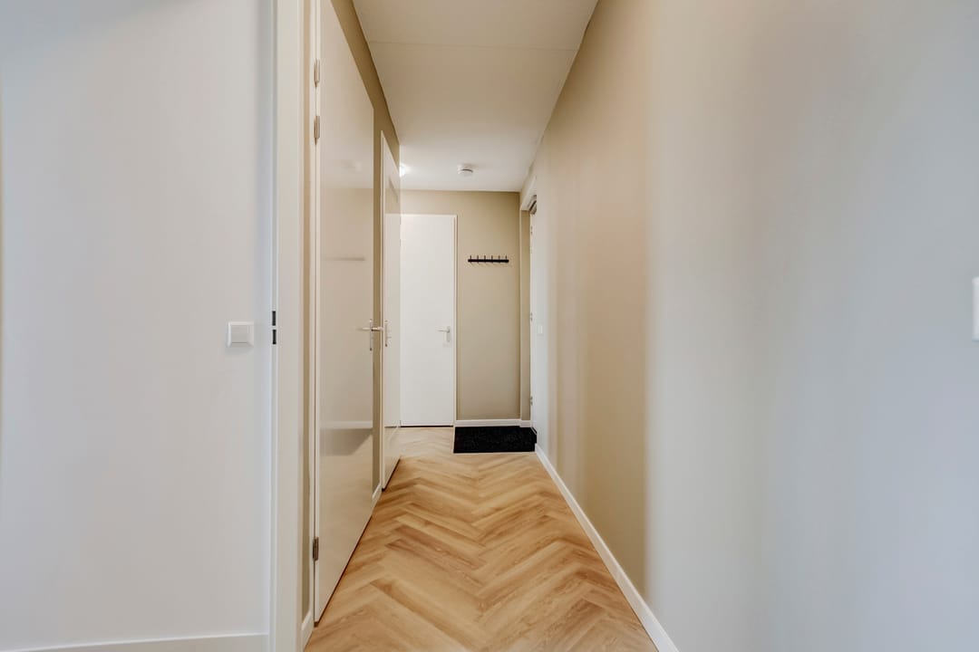 Foto 16 van Palissanderhout 100