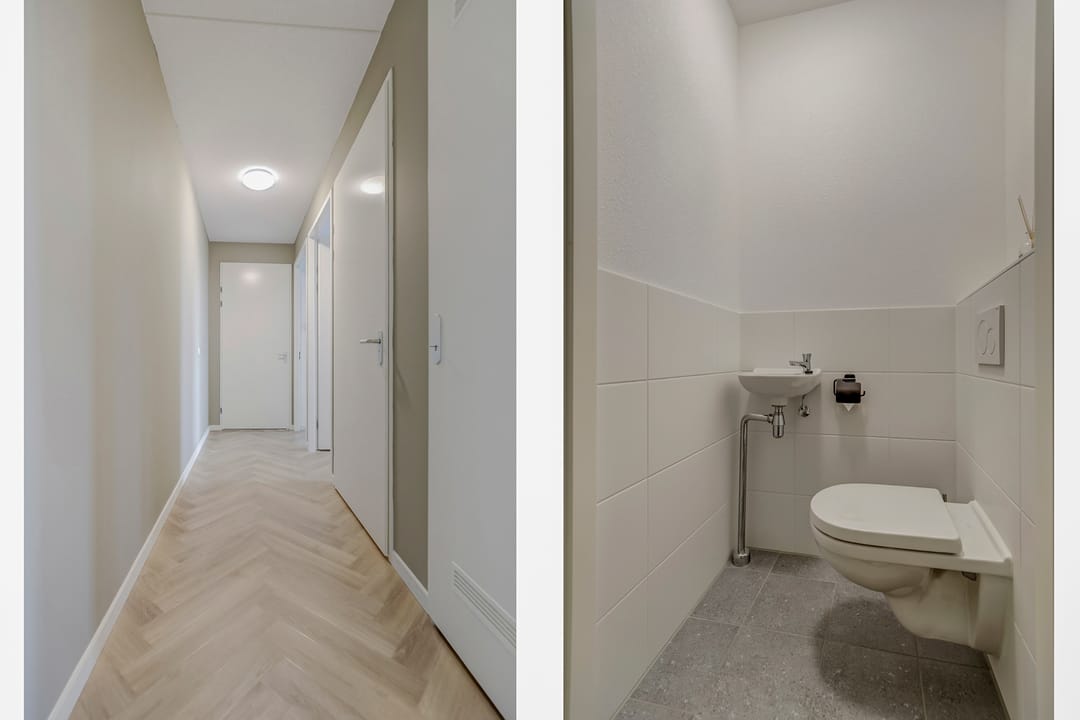 Foto 17 van Palissanderhout 100