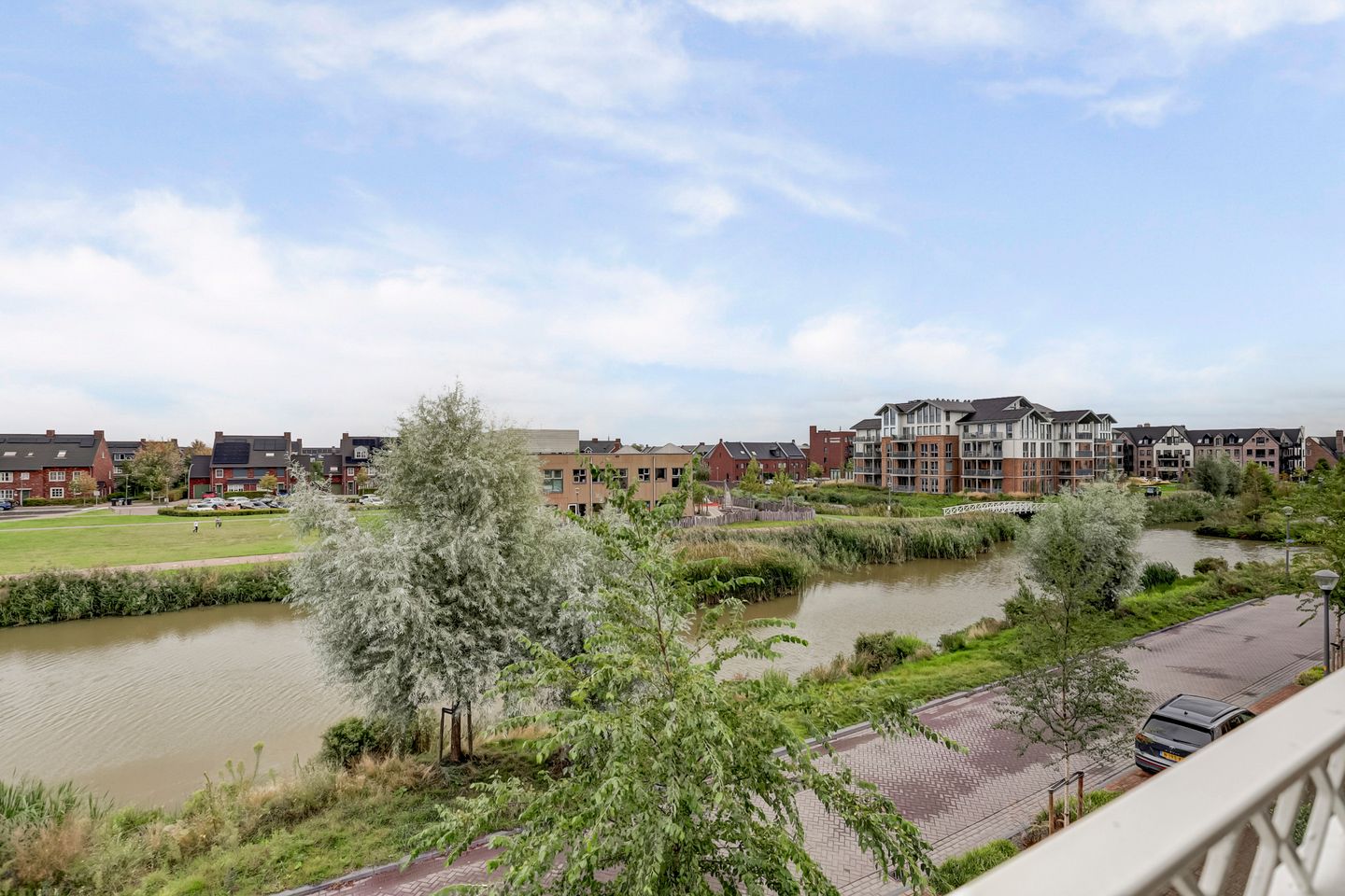 Foto 25 van Palissanderhout 100