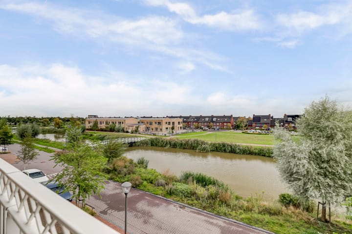 Photo 26 of Palissanderhout 100