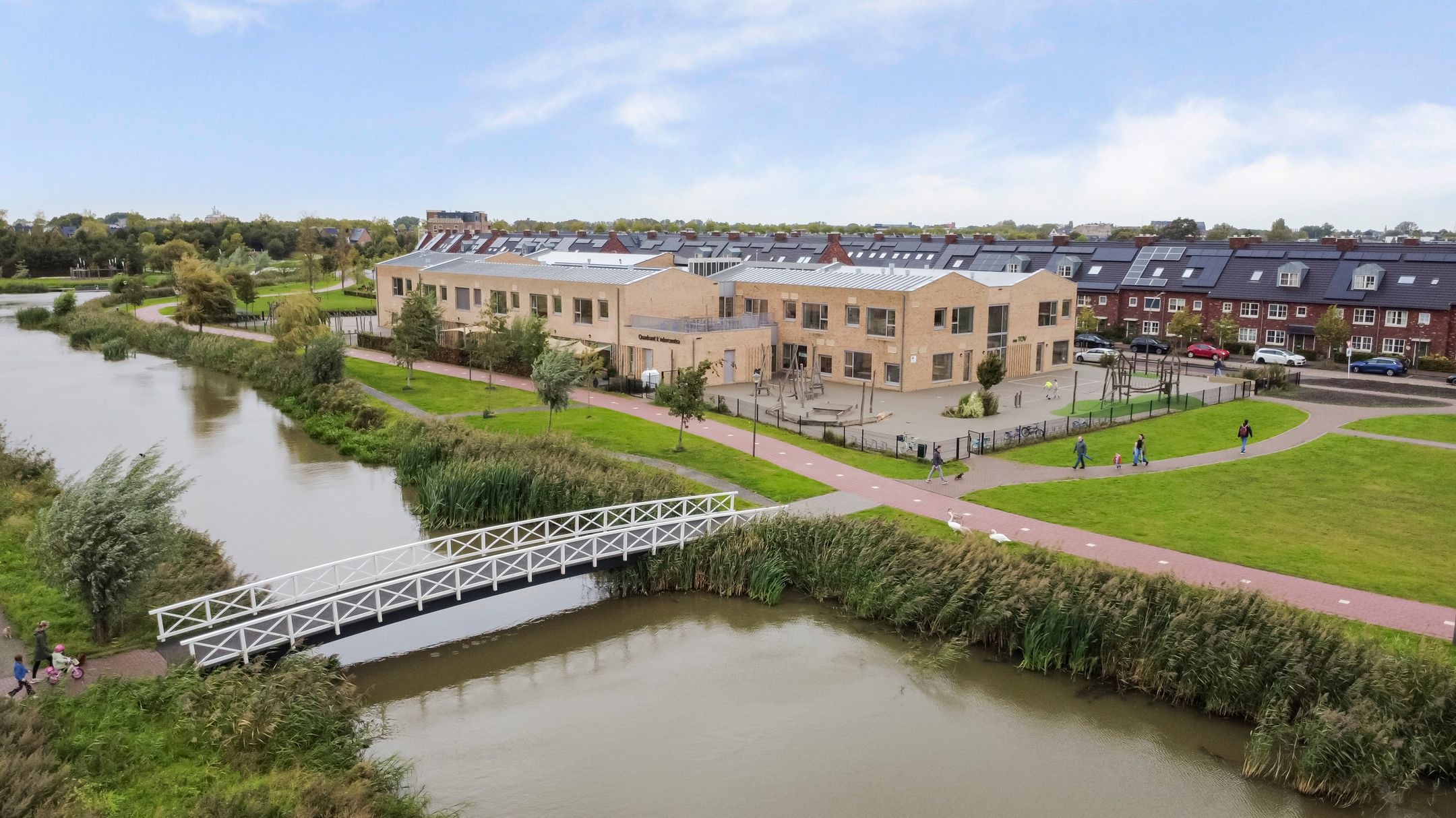 Foto 27 van Palissanderhout 100