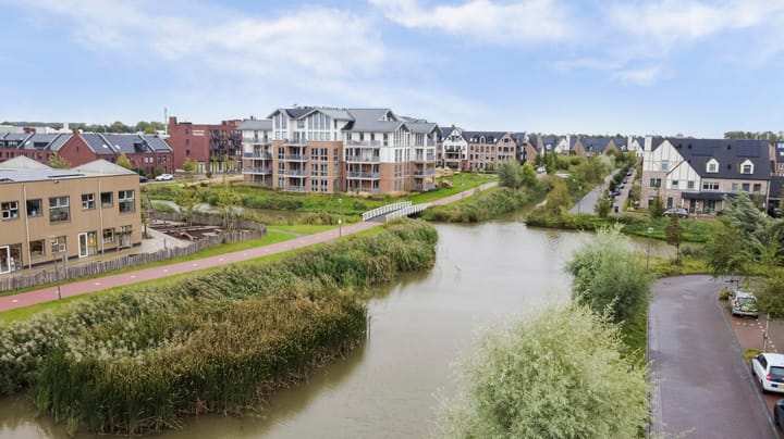 Photo 28 of Palissanderhout 100