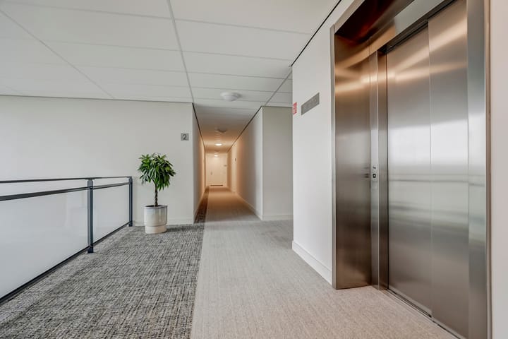 Photo 30 of Palissanderhout 100