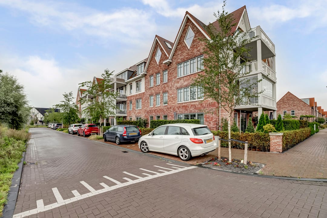 Foto 31 van Palissanderhout 100