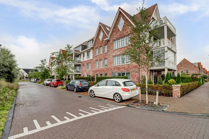 Photo 31 of Palissanderhout 100