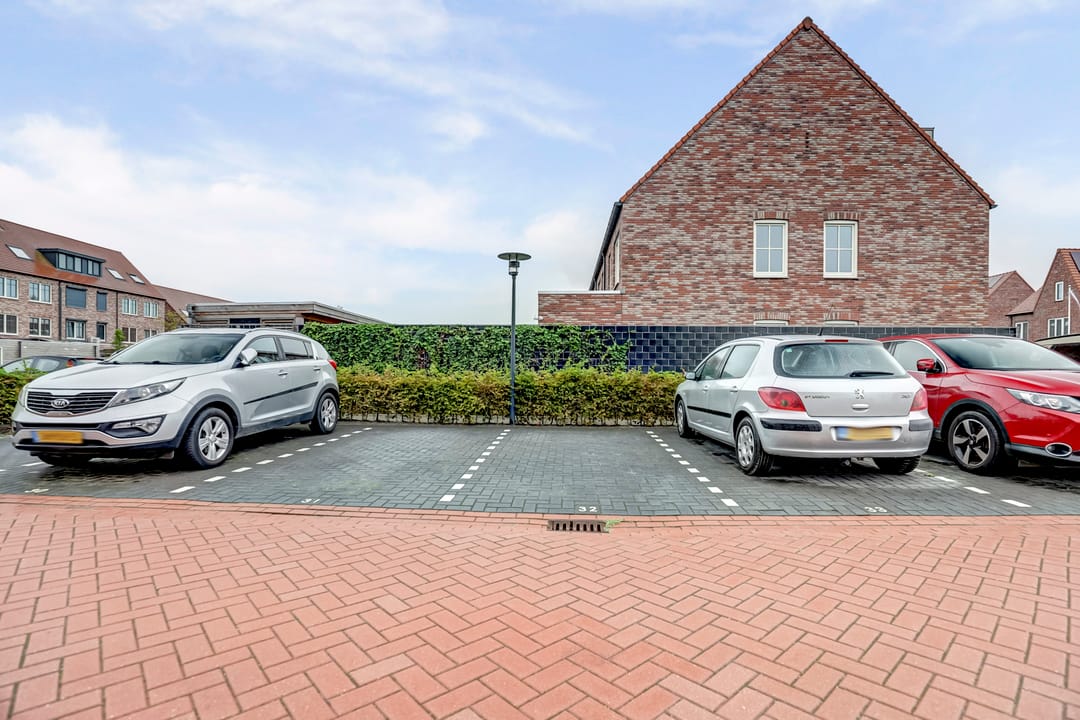 Foto 32 van Palissanderhout 100