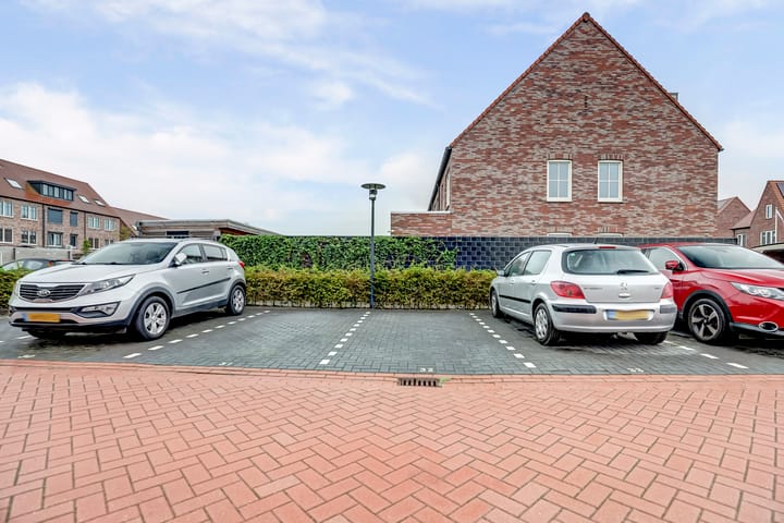 Photo 32 of Palissanderhout 100