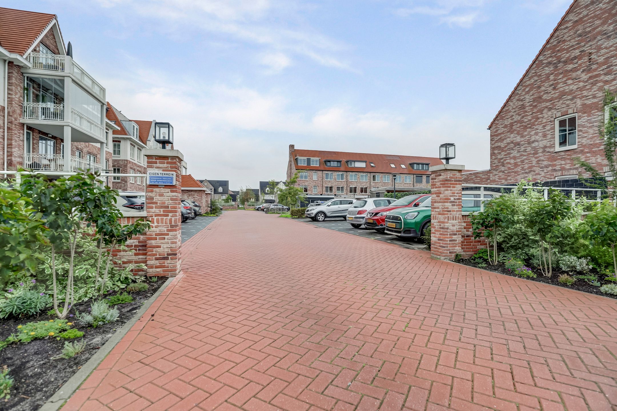 Foto 33 van Palissanderhout 100