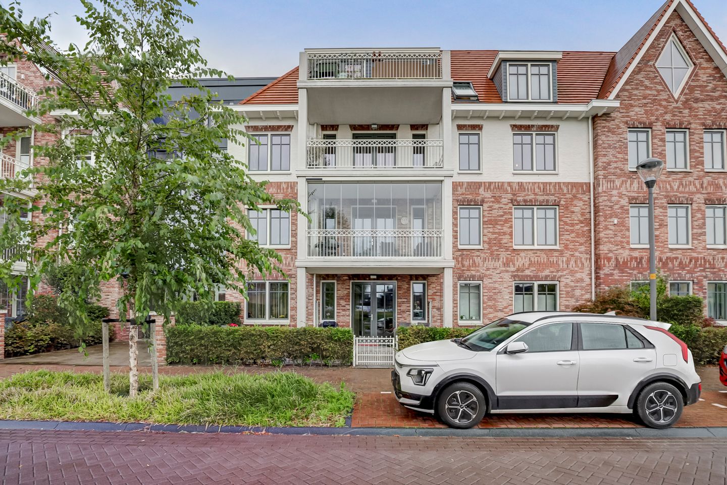 Foto 34 van Palissanderhout 100