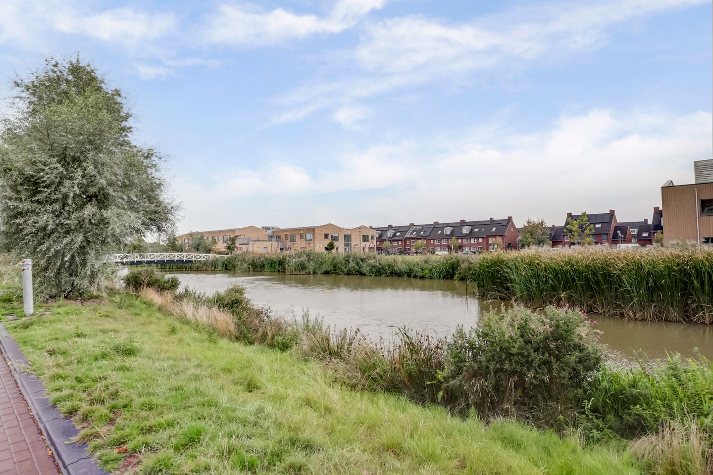 Foto 35 van Palissanderhout 100