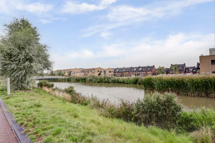 Photo 35 of Palissanderhout 100