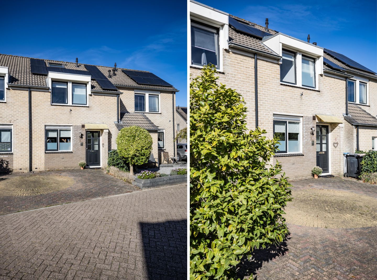 Foto 5 van De Reiger 3