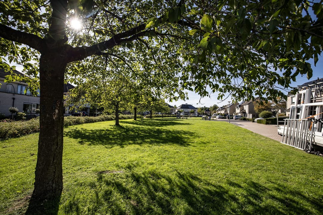 Foto 32 van De Reiger 3