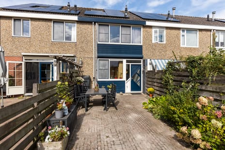 undefined main image