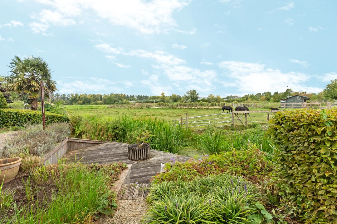 Photo 38 of Paddenburg 18