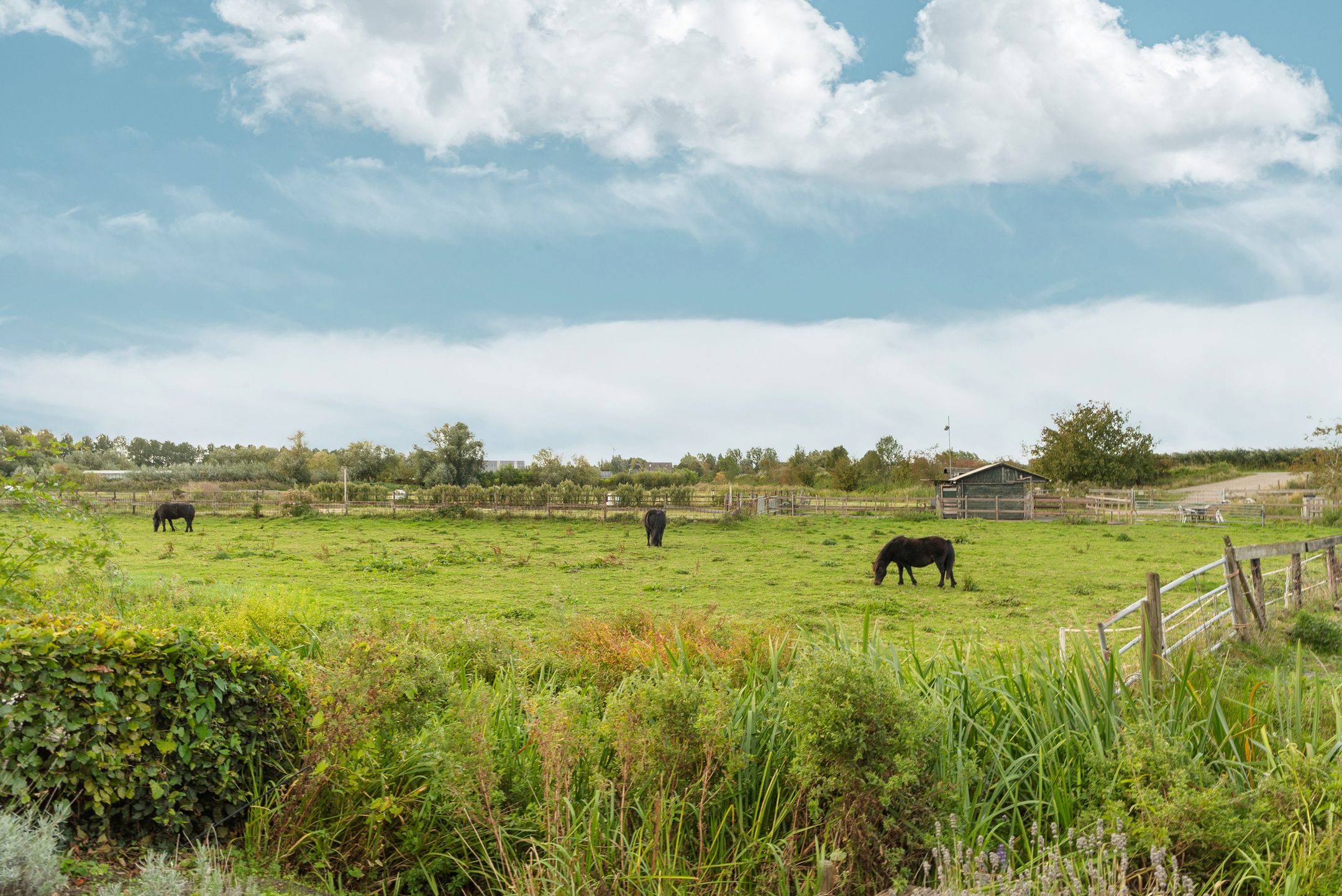 Photo 39 of Paddenburg 18