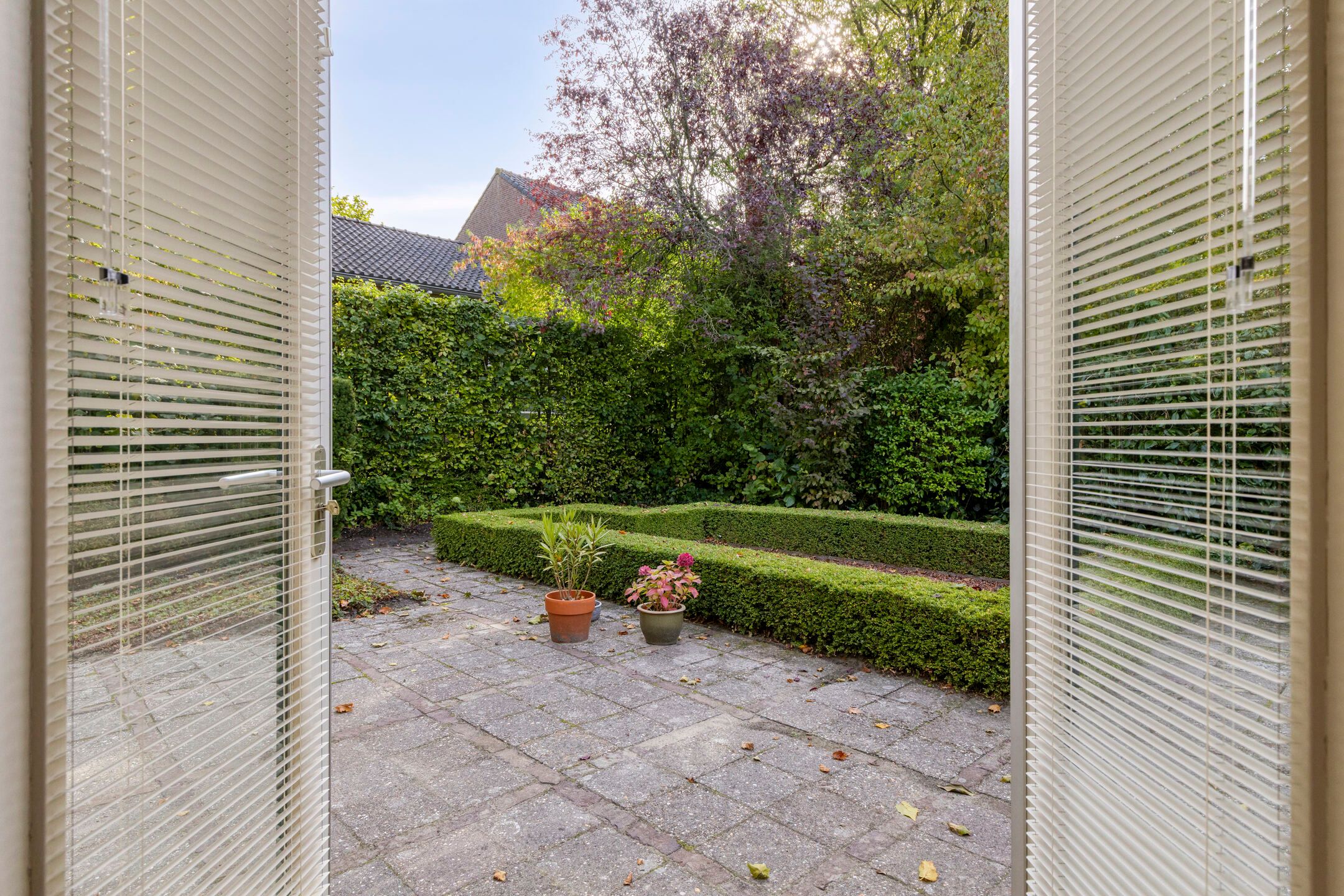 Foto 36 van Hemstraat 5