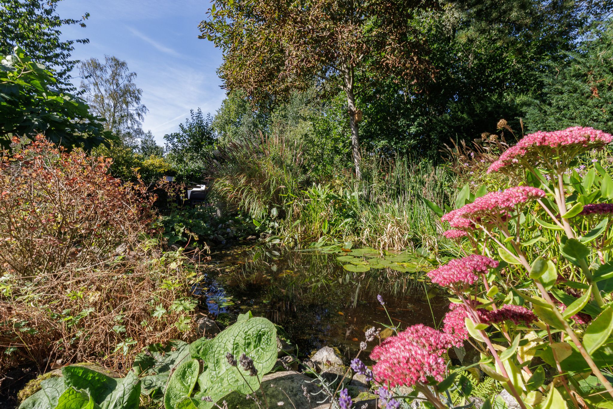 Foto 57 van Annerweg 5