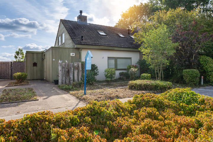 Photo 31 of de Stelle 21