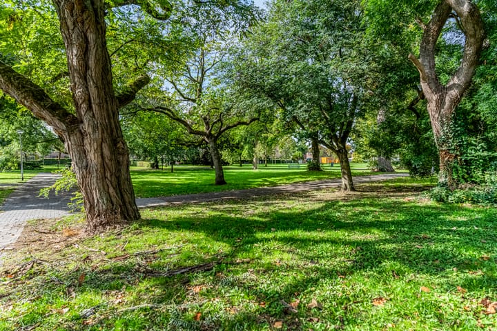 Foto 7 van Marialaan 256