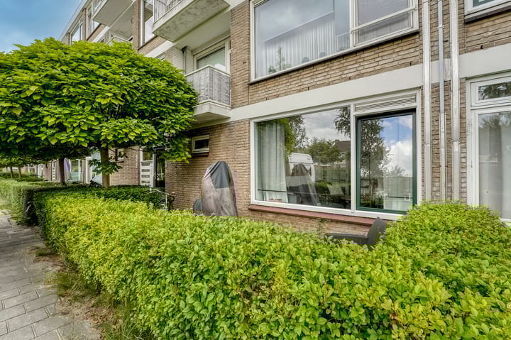 Photo 2 of Jan van Goyenplantsoen 50