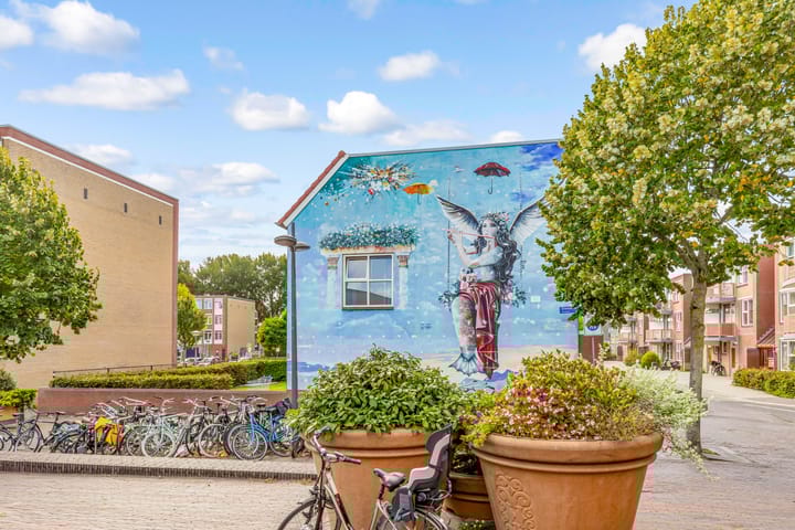 Photo 71 of Deventerpad 12