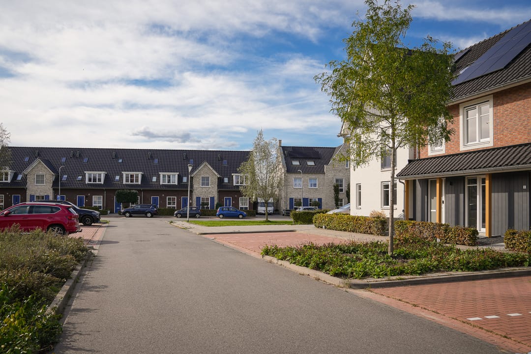 Foto 2 van Vlasveld 3