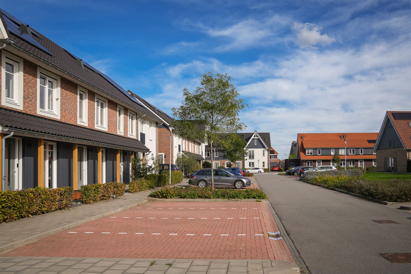 Foto 34 van Vlasveld 3