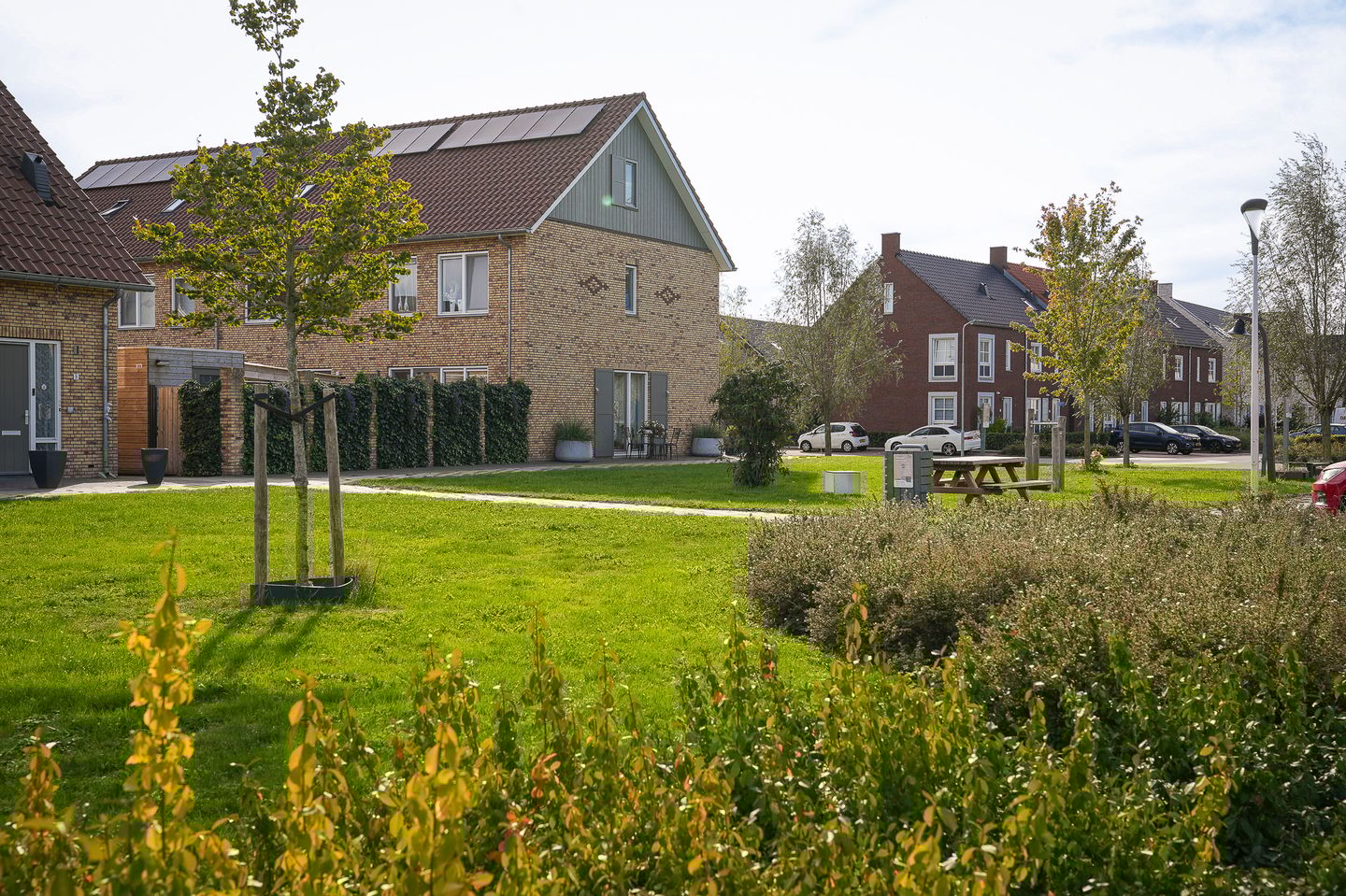 Foto 35 van Vlasveld 3