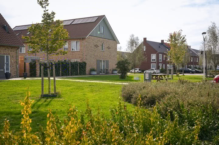 Foto 35 van Vlasveld 3