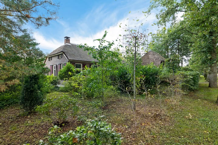 Foto 3 van Buinerweg 3