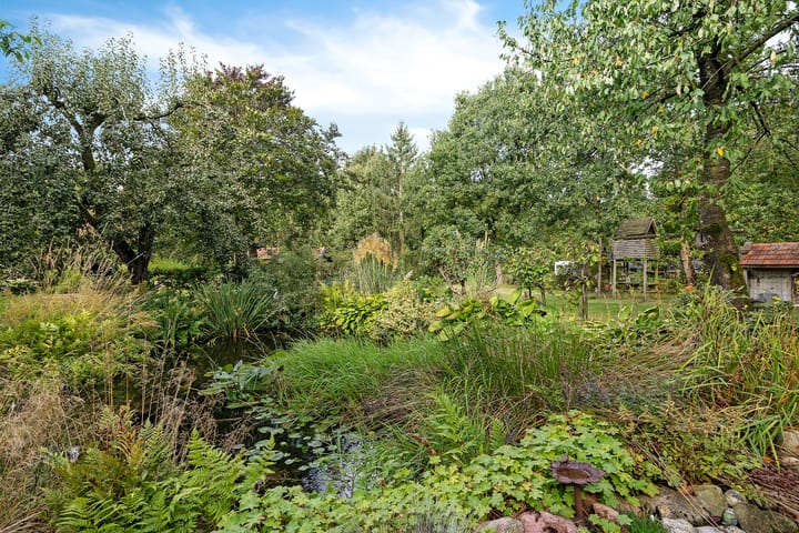 Foto 37 van Buinerweg 3