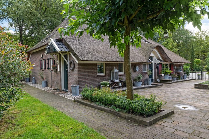 Foto 38 van Buinerweg 3