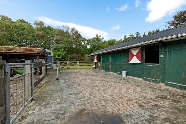 Foto 42 van Buinerweg 3