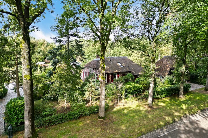 Foto 50 van Buinerweg 3