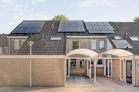 undefined main image