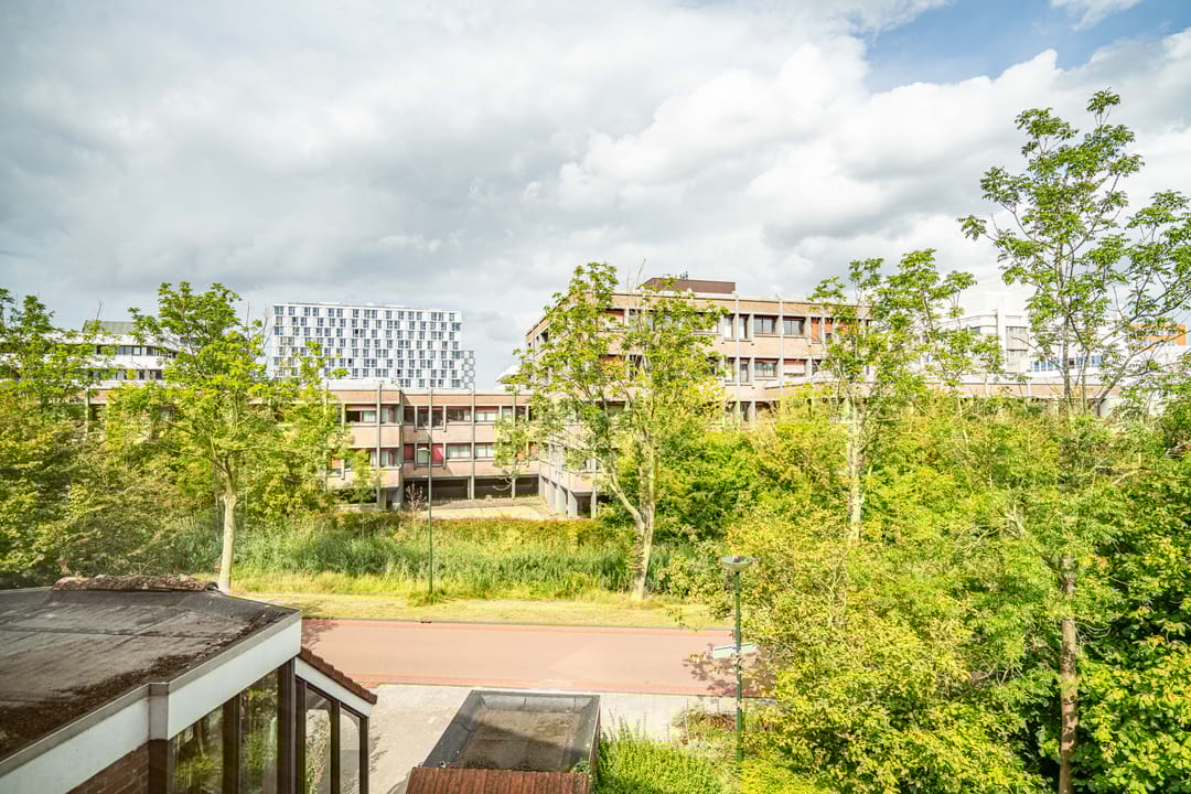 Foto 32 van Van Ravelingenstraat 12