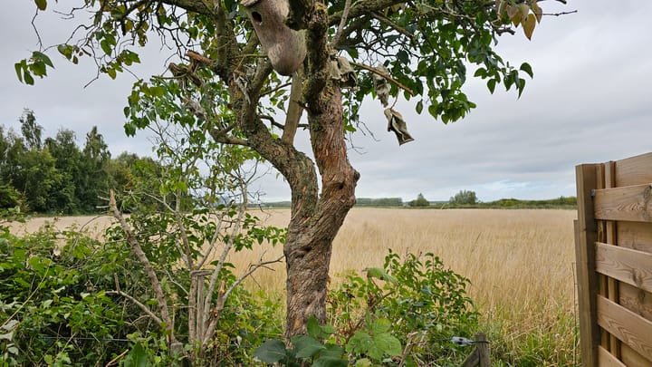 Foto 29 van Graafjansdijk A 58