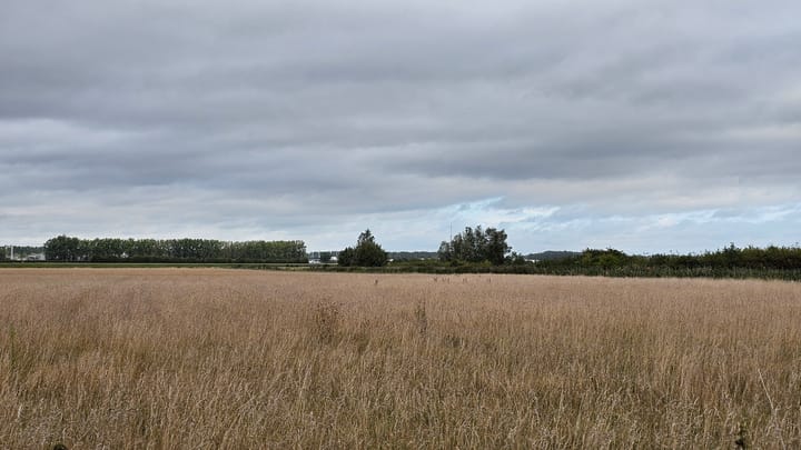 Foto 30 van Graafjansdijk A 58