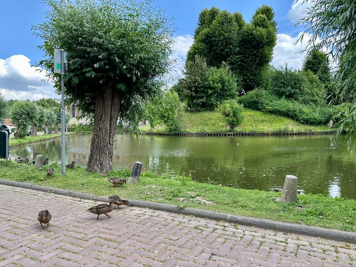 Photo 42 of Körnerstraat 22