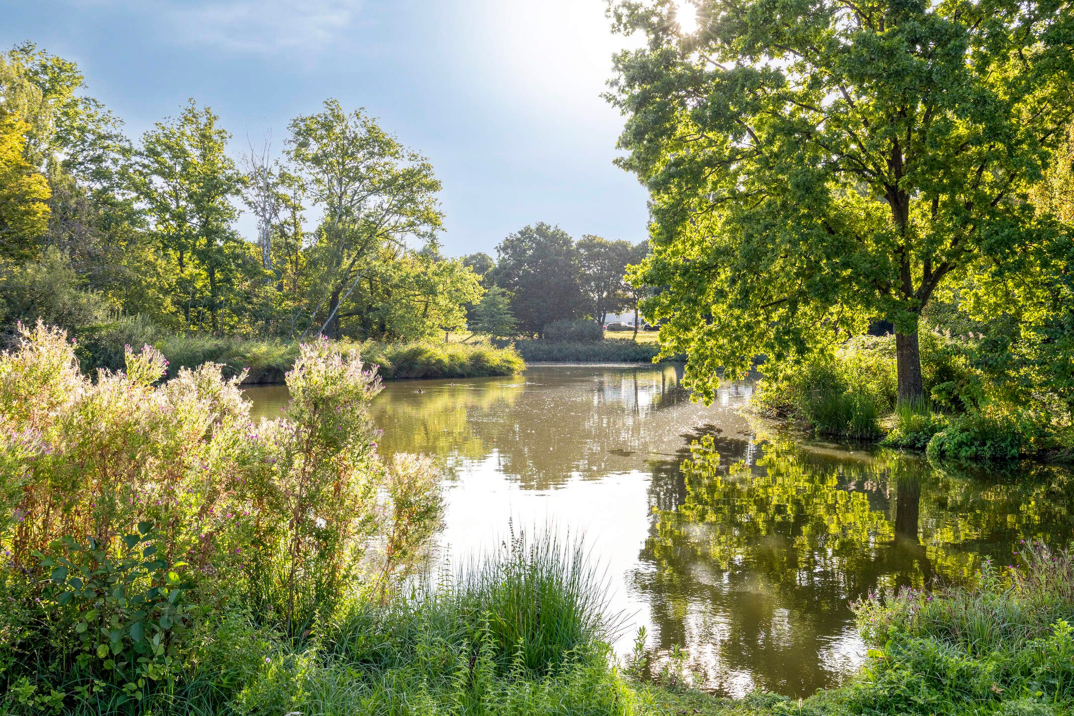 Photo 3 of Boekweitveld 4